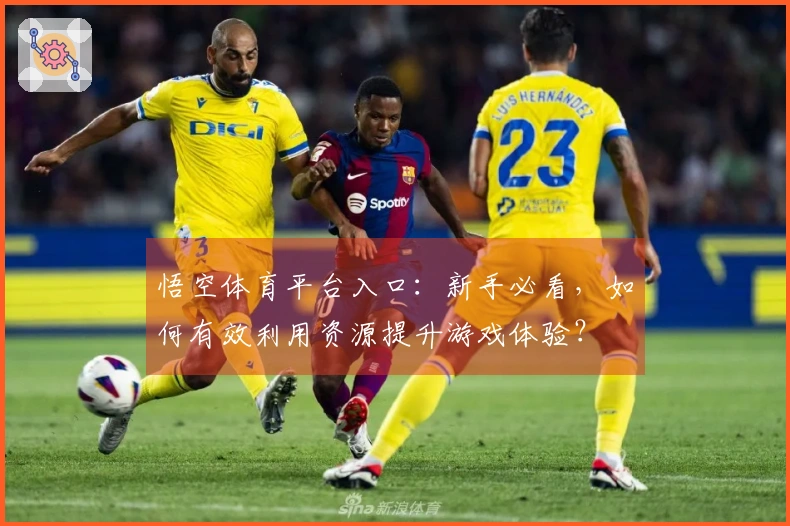 悟空体育平台入口：新手必看，如何有效利用资源提升游戏体验？