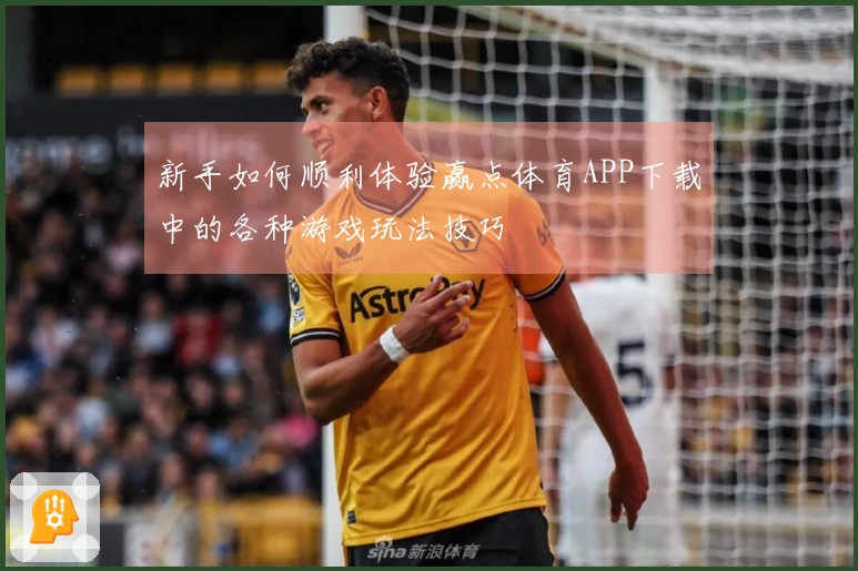 新手如何顺利体验赢点体育APP下载中的各种游戏玩法技巧